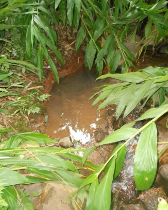Imagem Terreno à Venda, 190.000 m² em Linha Olinda - Nova Petrópolis Imagem Terreno à Venda, 190.000 m² em Linha Olinda - Nova Petrópolis