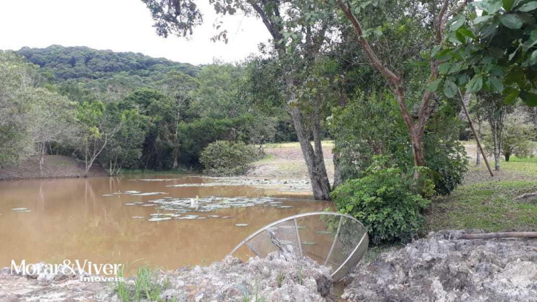 Imagem Imóvel com 3 Quartos à Venda, 84.750 m² em Alexandra - Paranaguá