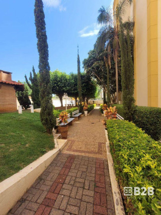Imagem Apartamento com 2 Quartos à Venda, 47 m² em Edifício Campo Limpo - Bauru Imagem Apartamento com 2 Quartos à Venda, 47 m² em Edifício Campo Limpo - Bauru