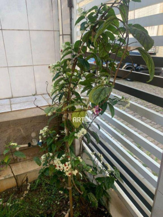 Imagem Casa com 2 Quartos à Venda, 155 m² em Centro - São Bernardo Do Campo Imagem Casa com 2 Quartos à Venda, 155 m² em Centro - São Bernardo Do Campo