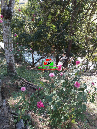 Imagem Chácara à Venda, 3.000 m² em Centro - Monteiro Lobato Imagem Chácara à Venda, 3.000 m² em Centro - Monteiro Lobato