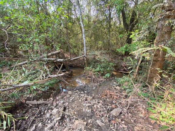 Imagem Terreno à Venda, 27 m² em Centro - Itatiaiuçu Imagem Terreno à Venda, 27 m² em Centro - Itatiaiuçu