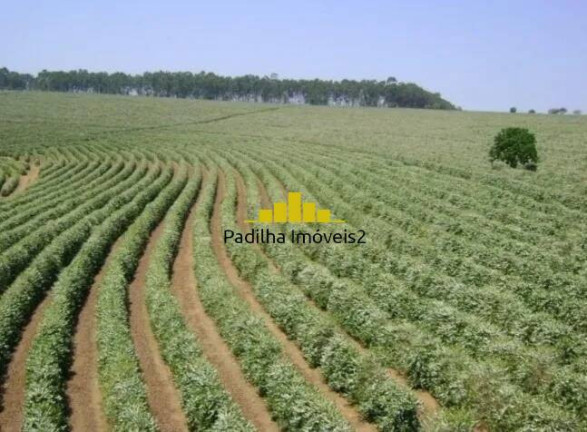 Imagem Fazenda à Venda, 530 m² em Centro - Piumhi Imagem Fazenda à Venda, 530 m² em Centro - Piumhi