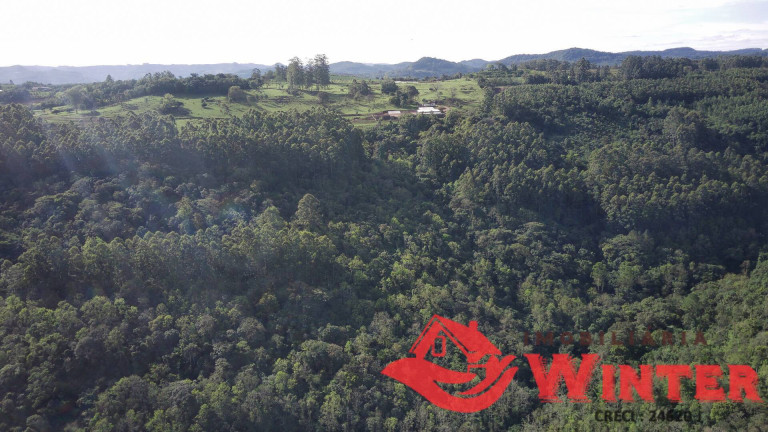 Imagem Chácara à Venda, 70 m² em Morro Grande - Linha Nova Imagem Chácara à Venda, 70 m² em Morro Grande - Linha Nova