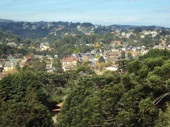 Imagem Apartamento com 5 Quartos à Venda, 298 m² em Morro Do Elefante - Campos Do Jordão Imagem Apartamento com 5 Quartos à Venda, 298 m² em Morro Do Elefante - Campos Do Jordão
