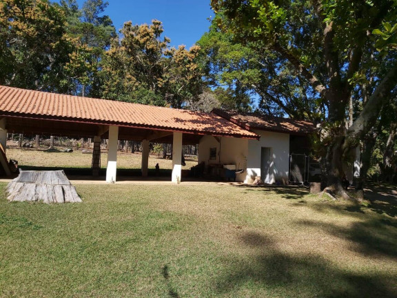 Imagem Chácara com 6 Quartos à Venda, 30 m² em Araras Pereiras - Bragança Paulista Imagem Chácara com 6 Quartos à Venda, 30 m² em Araras Pereiras - Bragança Paulista