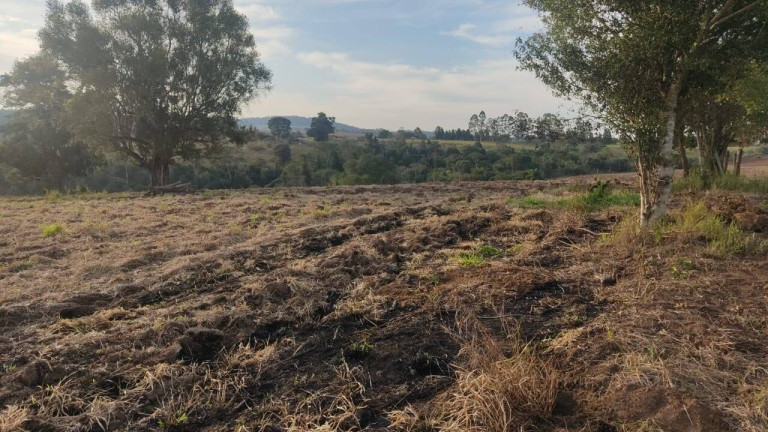 Imagem Fazenda à Venda, 314 m² em Morro Alto - Itapetininga Imagem Fazenda à Venda, 314 m² em Morro Alto - Itapetininga