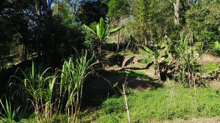 Imagem Chácara com 2 Quartos à Venda, 26 m² em Botujuru (botujuru) - Campo Limpo Paulista