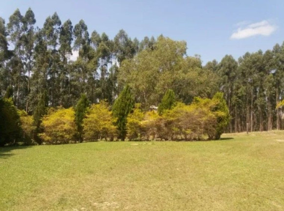 Fazenda à Venda,  em Residencial Impacel Ii - Arapoti