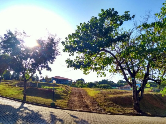 Imagem Chácara com 3 Quartos à Venda, 5.140 m² em Estância Da Colina - Salto