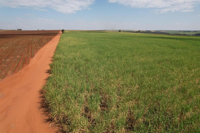 Imagem Fazenda à Venda, 64 m² em Zona Rural - Bariri Imagem Fazenda à Venda, 64 m² em Zona Rural - Bariri