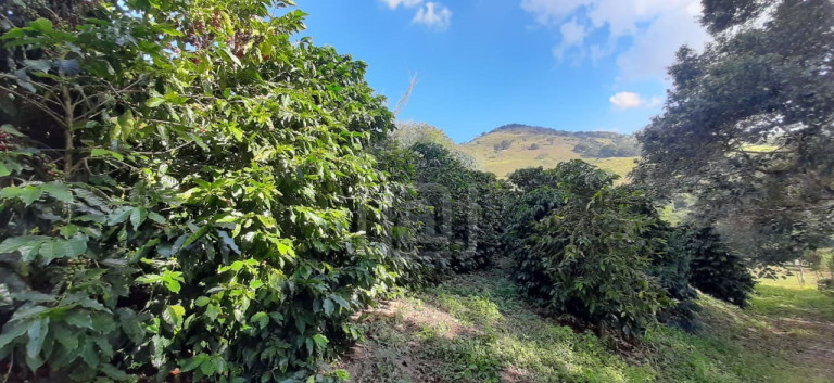 Imagem Imóvel à Venda, 3 m² em Milho Verde - Bandeira Do Sul