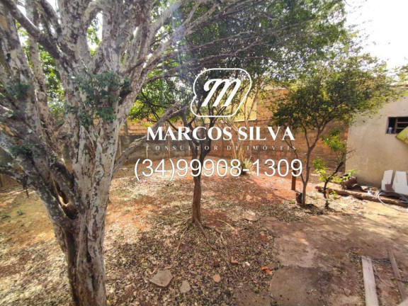 Imagem Casa com 3 Quartos à Venda, 300 m² em Segismundo Pereira - Uberlândia