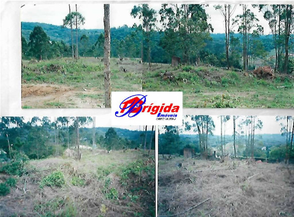 Imagem Terreno à Venda, 1 m² em Invernada - Embu Das Artes Imagem Terreno à Venda, 1 m² em Invernada - Embu Das Artes