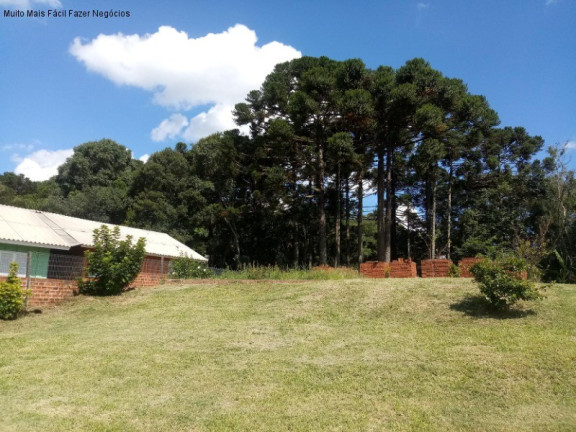 Imagem Casa com 3 Quartos à Venda, 160 m² em Linha Imperial - Nova Petrópolis