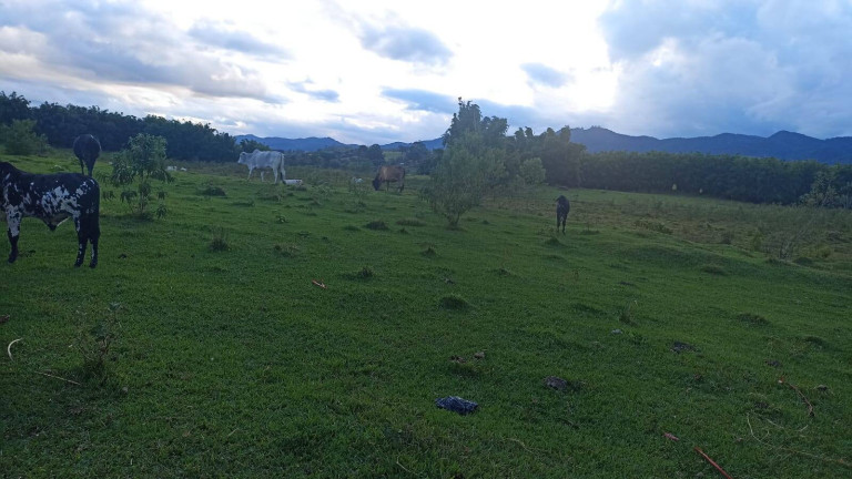 Imagem Fazenda à Venda, 100 m² em Estiva - Taubaté