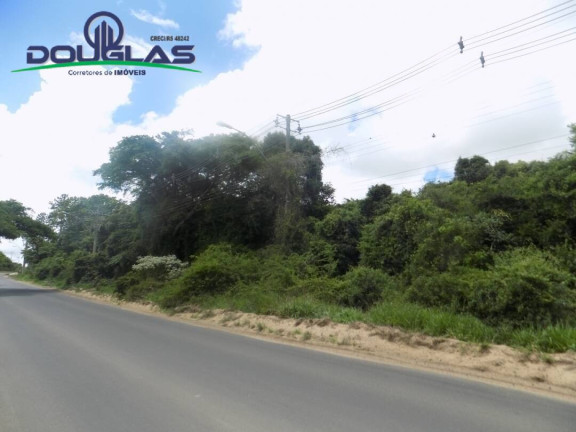 Imagem Imóvel Comercial à Venda, em Viamão Imagem Imóvel Comercial à Venda, em Viamão