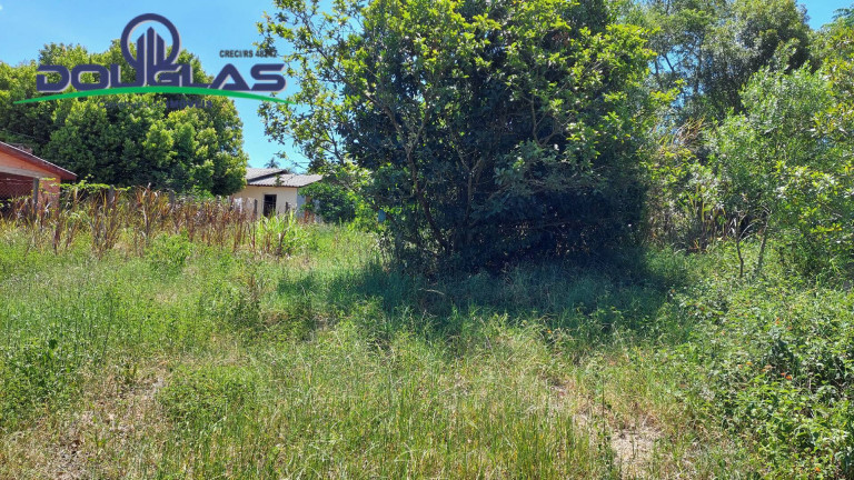 Imagem Terreno à Venda, 850 m² em Viamão