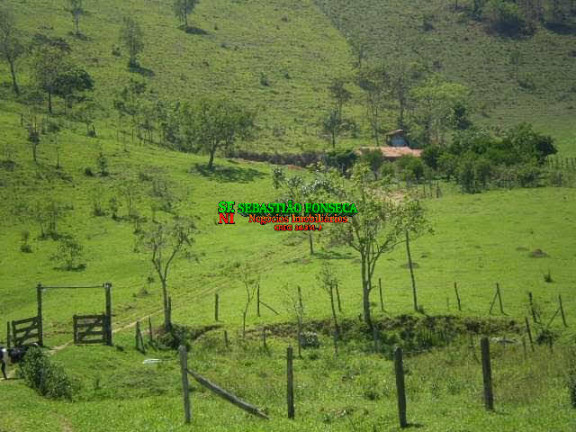 Imagem Chácara à Venda, 30.000 m² em Sob. Consulta - Monteiro Lobato Imagem Chácara à Venda, 30.000 m² em Sob. Consulta - Monteiro Lobato