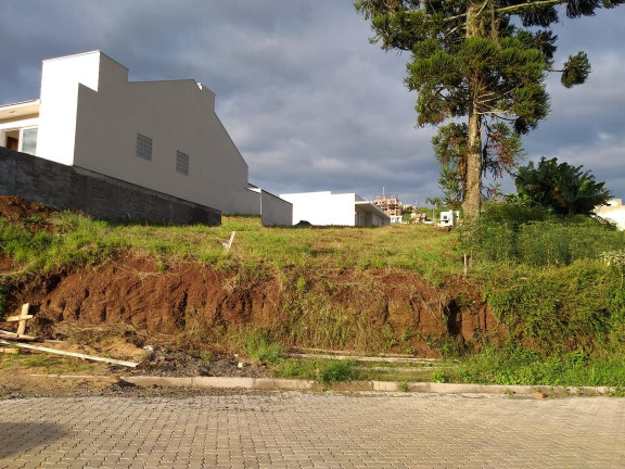 Terreno à Venda, 345 m² em Floresta - Dois Irmãos