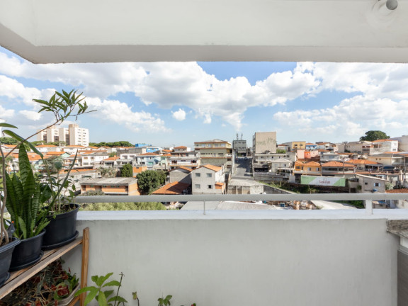 Imagem Apartamento com 2 Quartos à Venda, 50 m² em Vila Amélia - São Paulo