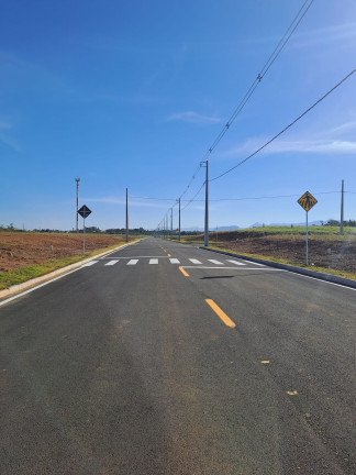 Imagem Terreno à Venda, em Vila Nova Esperança - Criciúma Imagem Terreno à Venda, em Vila Nova Esperança - Criciúma