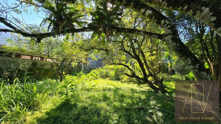Imagem Terreno à Venda, 600 m² em Park Imperial - Caraguatatuba Imagem Terreno à Venda, 600 m² em Park Imperial - Caraguatatuba