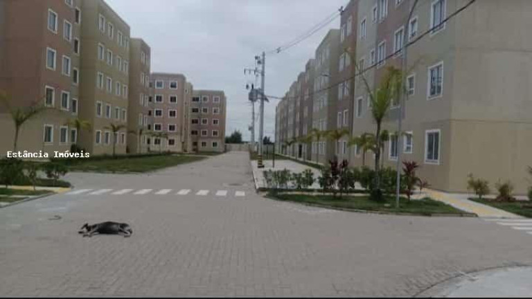 Imagem Apartamento com 2 Quartos à Venda, 47 m² em Santa Cruz - Rio De Janeiro Imagem Apartamento com 2 Quartos à Venda, 47 m² em Santa Cruz - Rio De Janeiro
