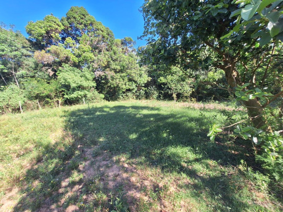 Imagem Chácara com 3 Quartos à Venda, 3.000 m² em Lombas - Viamão