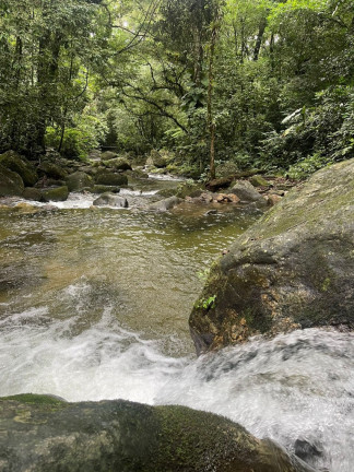Imagem Imóvel com 5 Quartos à Venda, 20.000 m² em Maresias - São Sebastião