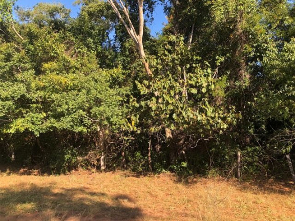 Imagem Fazenda à Venda, 229.899 m² em Centro - Córrego Do Ouro Imagem Fazenda à Venda, 229.899 m² em Centro - Córrego Do Ouro