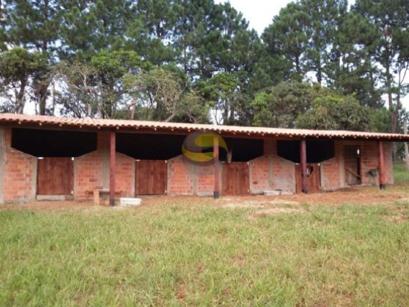 Imagem Chácara com 2 Quartos à Venda, 21.250 m² em Jardim Brasília - Mairinque Imagem Chácara com 2 Quartos à Venda, 21.250 m² em Jardim Brasília - Mairinque