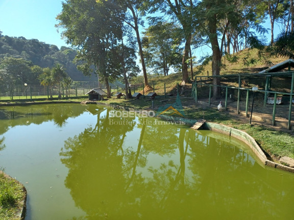 Imagem Imóvel com 4 Quartos à Venda, 720.000 m² em Maraporá - Cachoeiras De Macacu