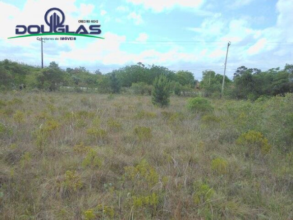 Imagem Imóvel Comercial à Venda, 3.640 m² em Morro Grande - Viamão Imagem Imóvel Comercial à Venda, 3.640 m² em Morro Grande - Viamão