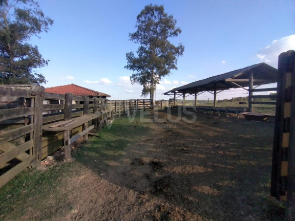 Imagem Imóvel à Venda, 242.000 m² em Santa Cruz Dos Matos - Itapetininga