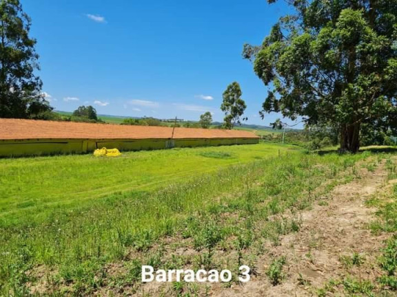 Imagem Chácara à Venda, 10 m² em Rural - Angatuba Imagem Chácara à Venda, 10 m² em Rural - Angatuba
