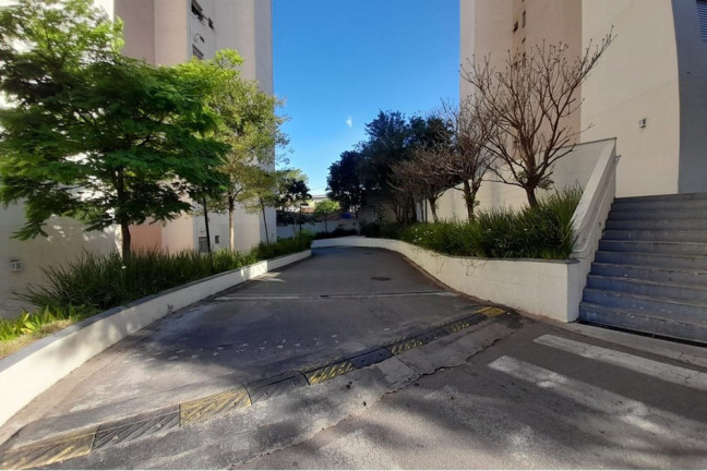 Imagem Apartamento com 2 Quartos à Venda, 43 m² em Jaraguá - São Paulo