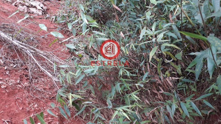Imagem Terreno à Venda, em Recreio Eldorado Do Valle - Santa Branca Imagem Terreno à Venda, em Recreio Eldorado Do Valle - Santa Branca