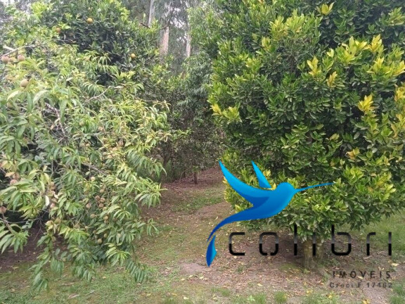 Imagem Chácara com 3 Quartos à Venda, 1.210 m² em Taboão - Agudos Do Sul