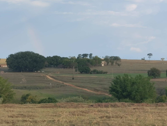 Imagem Fazenda à Venda, 726 m² em Vila Tazitsu - Presidente Prudente Imagem Fazenda à Venda, 726 m² em Vila Tazitsu - Presidente Prudente