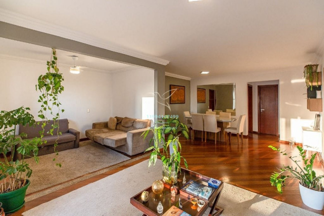 Imagem Apartamento com 3 Quartos à Venda, 131 m² em Vila Suzana - São Paulo Imagem Apartamento com 3 Quartos à Venda, 131 m² em Vila Suzana - São Paulo