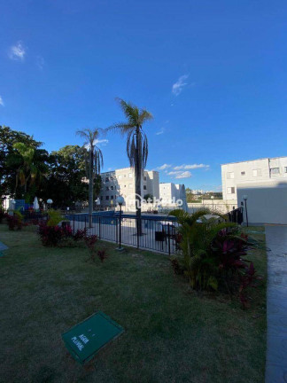 Imagem Apartamento com 2 Quartos para Alugar, 47 m² em Parque Prado - Campinas Imagem Apartamento com 2 Quartos para Alugar, 47 m² em Parque Prado - Campinas