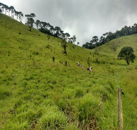 Imagem Imóvel à Venda, em Centro - Bocaina De Minas Imagem Imóvel à Venda, em Centro - Bocaina De Minas