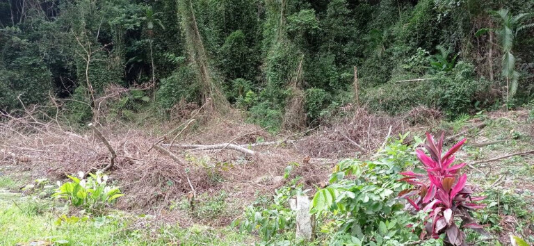 Imagem Terreno em Condomínio à Venda, 484 m² em Massaguaçu - Caraguatatuba