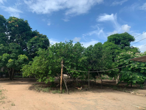 Imagem Terreno à Venda, 3.800 m² em Sim - Feira De Santana Imagem Terreno à Venda, 3.800 m² em Sim - Feira De Santana