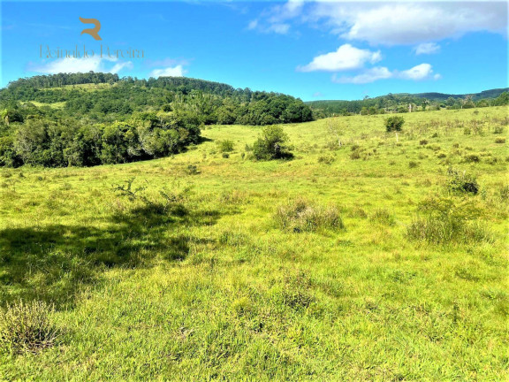 Imagem Chácara à Venda, 140.000 m² em Morungava - Gravataí Imagem Chácara à Venda, 140.000 m² em Morungava - Gravataí