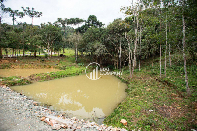 Imagem Chácara com 3 Quartos à Venda, 160 m² em Colina - Irati Imagem Chácara com 3 Quartos à Venda, 160 m² em Colina - Irati