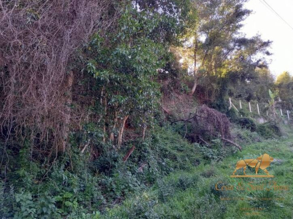 Imagem Terreno à Venda, 729 m² em V Britânia - Campos Do Jordão Imagem Terreno à Venda, 729 m² em V Britânia - Campos Do Jordão