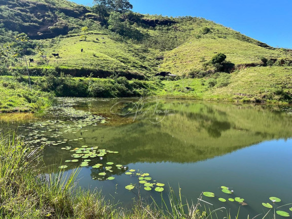 Imagem Fazenda à Venda, 753.913 m² em Taquara-assa - Ibiraçu