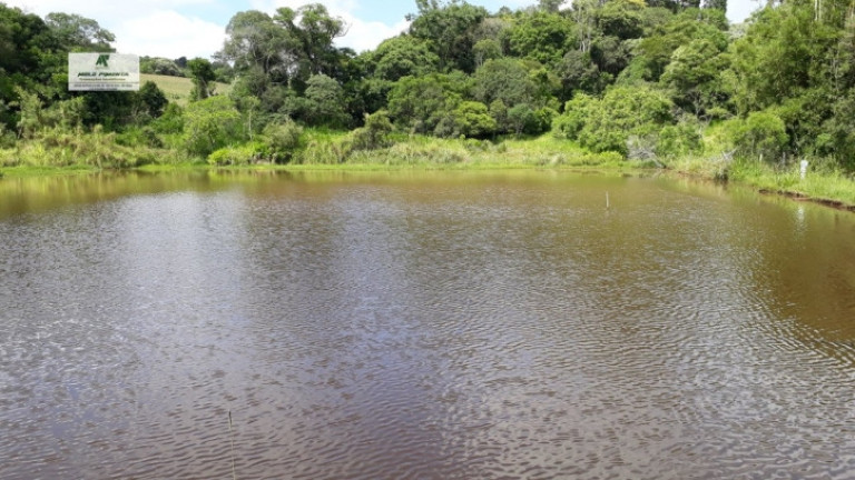 Chácara com 2 Quartos à Venda, 2.500 m² em Sorocamirim - São Roque